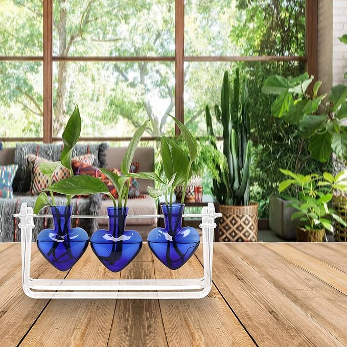 Clear Plant Terrarium Propagation Stations with Acrylic Stand Birthday Gifts for Women Office Home Decor