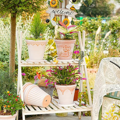 Sungmor Terra Cotta Pot Set - 3 Unique Embossed Clay Planters with Saucer & Drainage, 8 Inch Large & Deep, Pretty Color, Ideal for Orchid, Cactus, Succulent
