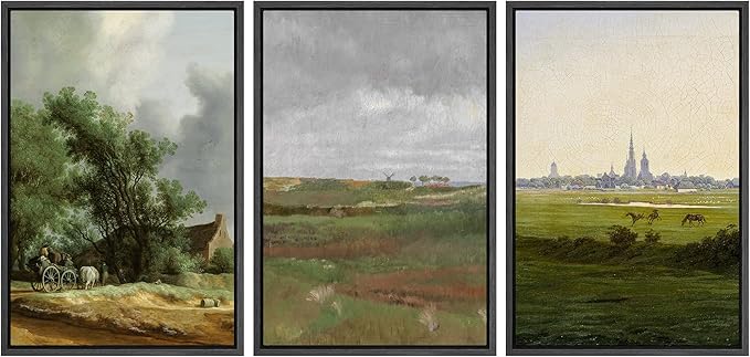 Ashbrook Framed Canvas Print Wall Art Set Farmhouse Country Nature Wilderness Illustrations Fine Art Decorative Floral Botanical Vintage for Living Room, Bedroom, Office - 24"x36"x3 Black