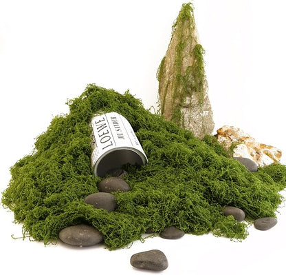 Dark Green Moss is Used for Handicrafts, Artificial Moss, Glass Vase Fillers, Wedding/Christmas/Spring Green Parties/Indoor Flower Pots/DIY Rainforest Models/Table Decoration (7.05 Ounces)