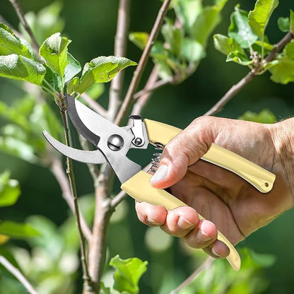Chumia 6 Pcs Garden Pruning Shears Flower Shears Handheld Heavy Duty Garden Scissors Stainless Steel Clippers for Cutting Flowers, Trimming Plants Bypass, Fruits Trees, Pruning Snips, Gardening Gifts