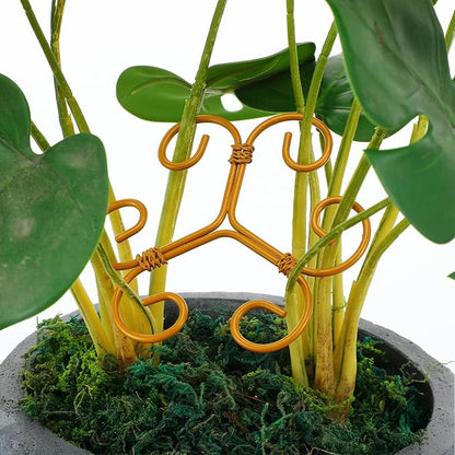 Lusofie 4 Pcs Monstera Plant Support,Iron Plant Support Stakes,Stabilizer Grapple Holder,Turtle Bamboo Clamp Set for Indoor and Outdoor Plants and Flowers to Promote Healthy Growth