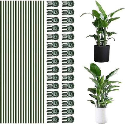 50Pcs Plant Stake Clip Set Green, Plant Sticks Supplies Support Tall, Useful Support Clips, Fine Workmanship Allow Bending Suitable for Various Plant Pots Indoors and Outdoors
