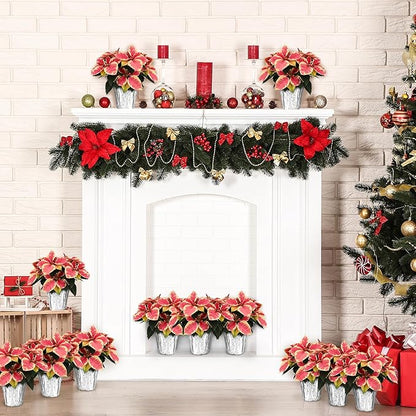 Green Circle Growers 12-Pack Live Marble Poinsettia/Cinnamon Plants in 4-Inch Grower Pots with Silver Decorative Covers – Festive Holiday Houseplants for Seasonal Home Décor & Gifting