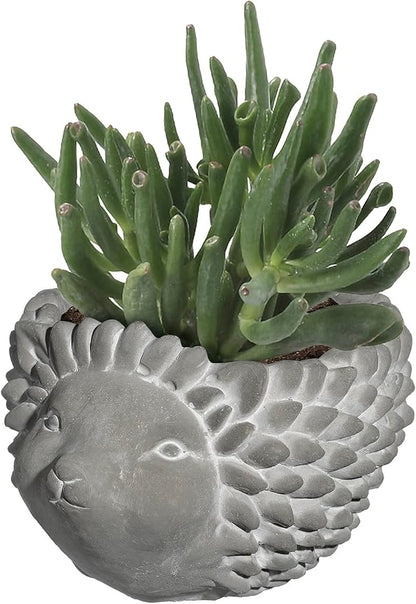 Classic Home and Garden Cement Buddies Animal Planter - Cute Desk Decoration - UV Coated Animal Vase w/Removable Drain Plug - Succulent Planter for Indoor/Outdoor Use (Hedgehog, Natural, Small)