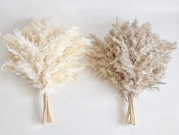 30 PCS Boho Decor, Fluffy Pompas Grass, Natural Dry Pampas Grass Small, Short Pampass Bulk for Boho Room, Coffee Table Decor (17 inch )