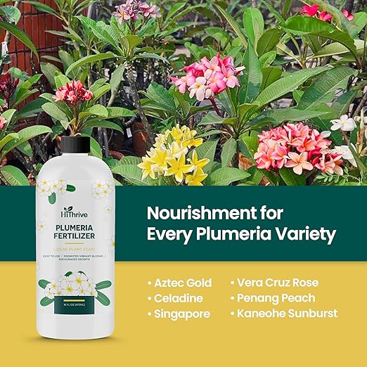16oz Plumeria Fertilizer - Makes 16 Gallons of Liquid Plant Food for Plumeria Plants Live, Tropical Plant Fertilizer for Vibrant Flowers, Glossy Leaves, and Strong Roots - Nutrient-Rich Flower Food