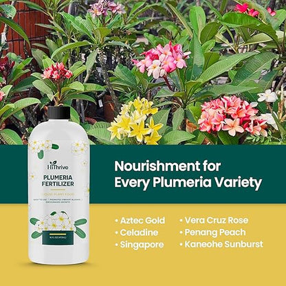 16oz Plumeria Fertilizer - Makes 16 Gallons of Liquid Plant Food for Plumeria Plants Live, Tropical Plant Fertilizer for Vibrant Flowers, Glossy Leaves, and Strong Roots - Nutrient-Rich Flower Food