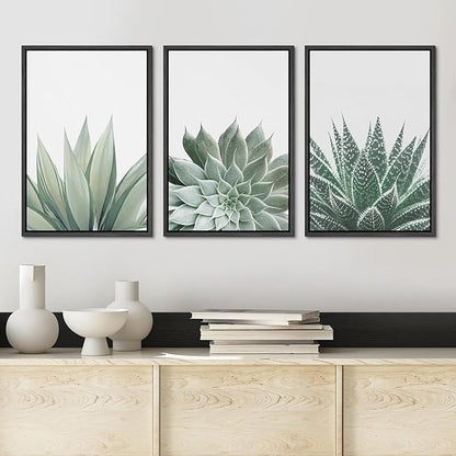Ashbrook Framed Canvas Print Wall Art Set Green Desert Cactus Succulent Variety Nature Wilderness Photography Modern Art Minimal Chic Colorful for Living Room, Bedroom, Office - 24"x36"x3 Black