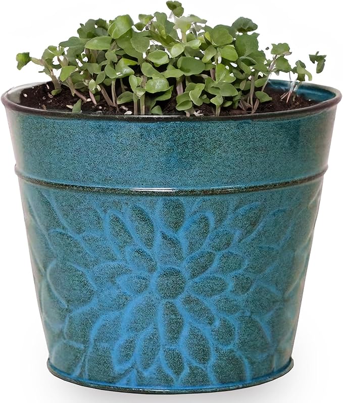 Robert Allen MPT02005 Laurel Series Metal Planter Flower Pots, 6", Lagoon