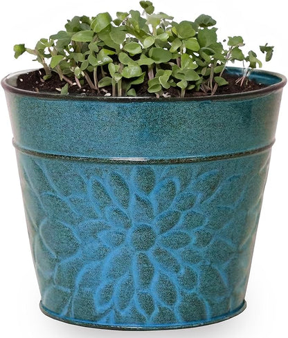 Robert Allen MPT02005 Laurel Series Metal Planter Flower Pots, 6", Lagoon