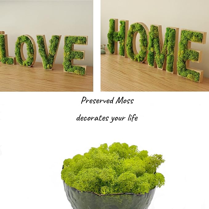 Moss Preserved Artificial Moss 8.8oz Natural Fresh Green Moss for Craft Arts Floral Project Wall Decor Table Decor Wedding Centerpieces Garden Terrariums Decoration Chartreuse