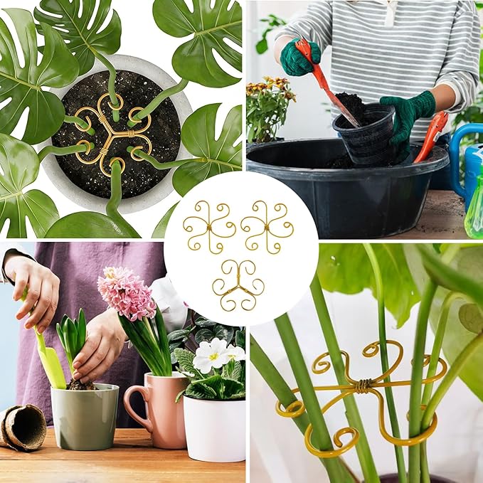 YAPROMO 4PCS Iron Monstera Support Stakes - 4.1IN Indoor Plant Stabilizer Clamps, Prevents Falling for Turtle Shell Bamboo & Houseplants (A)