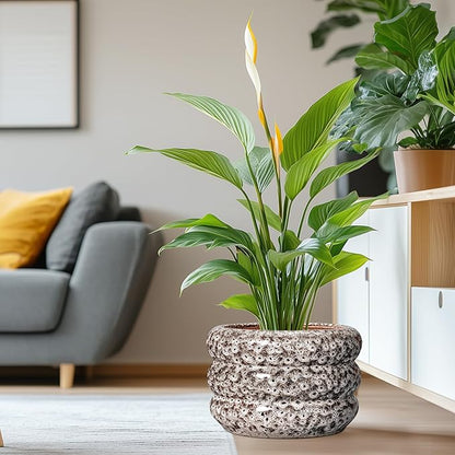 SQOWL Ceramic Flower Pots - 13.5 Inch Plant Pot with Drainage Hole, Large Ceramic Planter for Indoor Plants, Round Modern Planter Outdoor, Porch Home House Decor, Plant Lover Gifts, White
