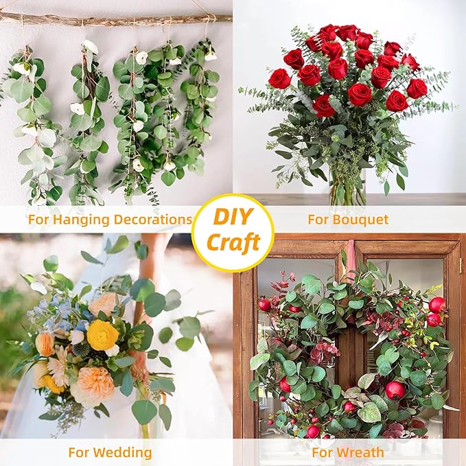 12 Pcs Large Dried Eucalyptus & Silver Dollar Leaves Bundle - Natural Real Fresh Plants, 17" Preserved Eucalyptus Stems for Shower Hanging, Bathroom Decor, Garland, Greenery Plant