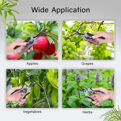 6.5" Ultra Sharp Pruning Shears - Professional Garden Scissors with Curved Stainless Steel Blades, Ergonomic Handle, Rust Resistant, Safety Lock, Trimming Scissors for Plants in Grow Tents,1-Pack