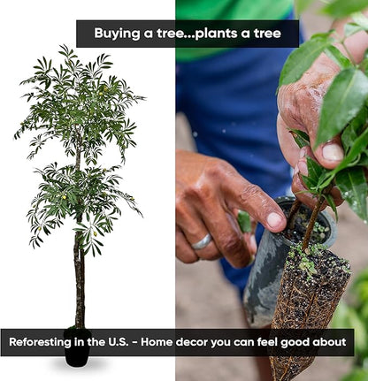 Cypress & Alabaster Handmade 6.5ft Artificial 2-Tier Olive Tree with Real Wood Trunks, Hypoallergenic, 6.5 Foot, Green