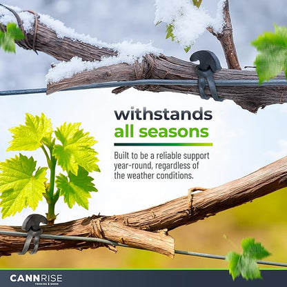 Anchor Bands for Trellising – 110-Pack 5 cm/1.96 in Rubber Vine Ties, UV-Protected Bands: Grapevines, Trees & Climbing Plants – Tool-Free Loop-and-Anchor Design for Install, Weatherproof