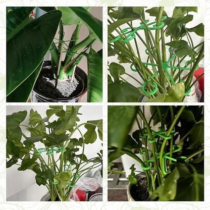 12-Pack Indoor Plants Support Stakes, 4 Sizes Climbing Houseplant Stem Supports, Reusable Plastic Stem Holders for Money Plant Monstera Pothos Climbing Vines Vertical Growth & Airflow (Green)