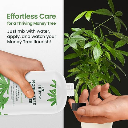 32oz Money Tree Plant Indoor Fertilizer - Makes 192 Gallons of Money Tree Fertilizer - Nutrient-Rich Plant Food with Macro & Micronutrients for Glossy Leaves, Strong Roots, and Lush, Tropical Growth