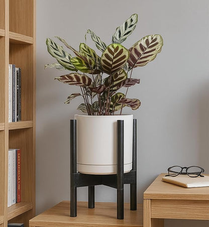 D'vine Dev Ceramic Planter with Ebony Stand - 8 Inch Modern Round Flower Pot with Wood Planter Holder, Oatmeal, 55-B-M-8