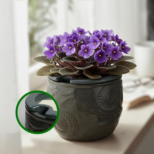 6.5” Ceramic Self Watering African Violet Planter with Embossed Floral Design – Durable Indoor Plant Pot for Orchids, Succulents, and Houseplants