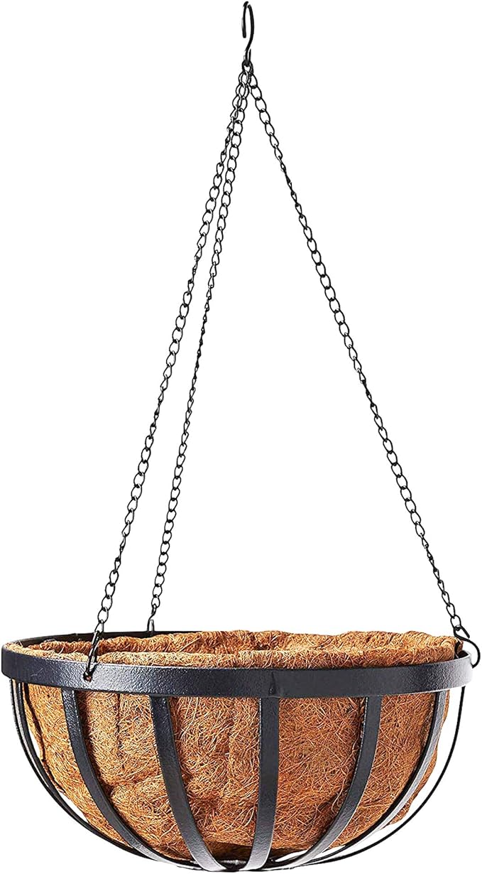 Arcadia Garden Products CB42 12" Solstice Round Hanging Basket, Black (Pack of 5)
