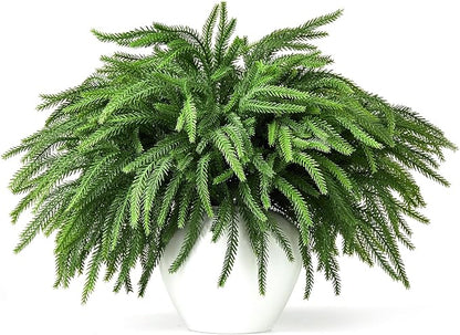 16 Pcs Norfolk Pine Stems, 19" Long Artificial Christmas Norfolk Pine Branches, Real Touch Christmas Greenery Stems for Vases, DIY Garland, Xmas Indoor Home Decorations