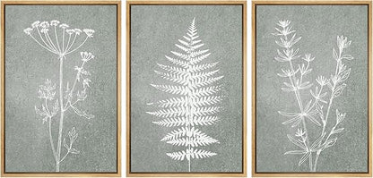Ashbrook Framed Canvas Print Wall Art Set Green Forest Flower Plant Silhouette Nature Wilderness Illustrations Modern Art Rustic Chic Colorful for Living Room, Bedroom, Office - 16"x24"x3 Natural