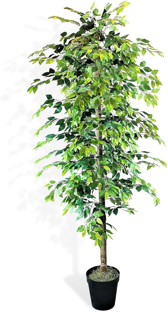 8ft Artificial Ficus Tree in Black Plastic Pot - Real Wood Trunk, Preassembled, No Maintenance Indoor Faux Plant - Living Room, Home & Office Decor