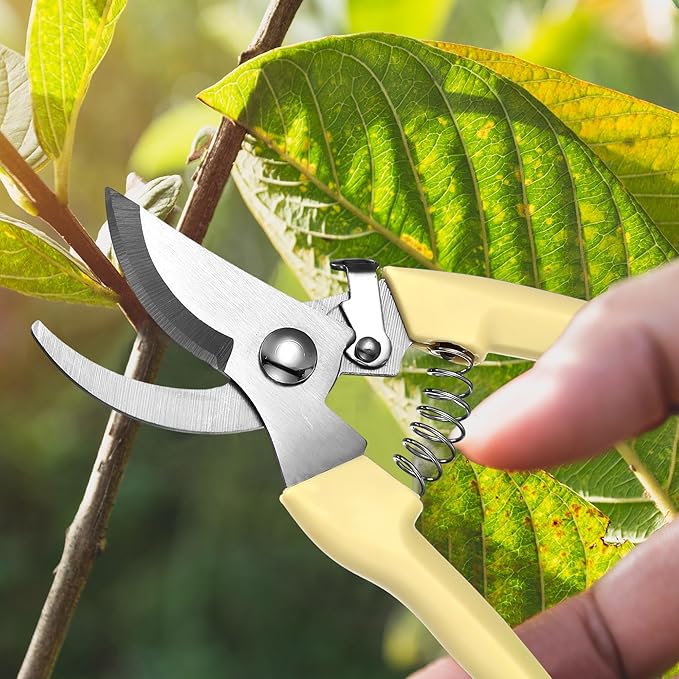 50 Pcs Garden Shears Garden Scissors Trimming Plant Clippers Flower Cutters for Stems Floral Snips Floral Tools Pruners for Flower for Yard Orchard Cutting Bushes Fruit Picking Tree Bonsai