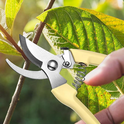 50 Pcs Garden Shears Garden Scissors Trimming Plant Clippers Flower Cutters for Stems Floral Snips Floral Tools Pruners for Flower for Yard Orchard Cutting Bushes Fruit Picking Tree Bonsai