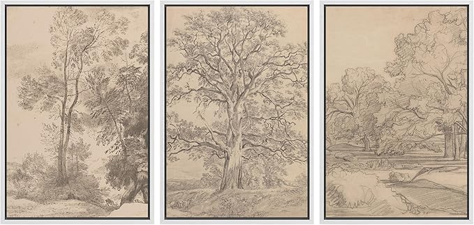 Ashbrook Framed Canvas Print Wall Art Set Retro Vintage Sketchbook Forest Country Landscape Farmhouse Decor Nature Wilderness Illustrations Floral Botanical Retro for Bedroom - 16"x24"x3 WHITE