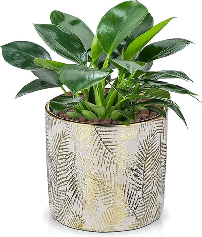 Oairse Small Ceramic Pot for Indoor Plants, 5.3 inch Plant Pot with Drainage Hole Decorative Texture Gold Planter Indoor Outdoor Flower Pots for Succulent Snake Plant Pothos Orchid