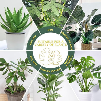 4 Pack Plant Stem Support, Adjustable Metal Monstera Plant Support Small 2PCS & Large 2PCS, Plant Supports for Indoor Plants Moss Pole Growth Plant Support Ring (Gold)