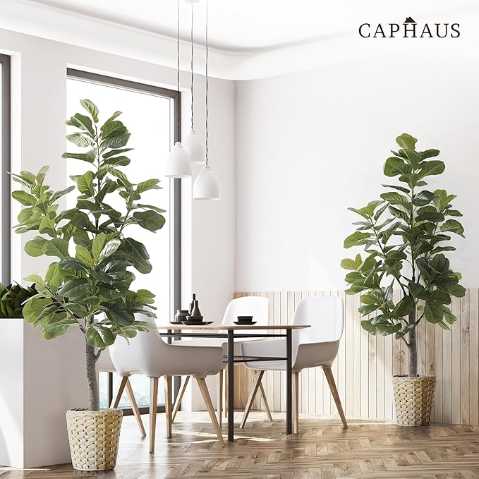 CAPHAUS Artificial Fiddle Leaf Fig Tree, 6/7 Feet in Pot with Dried Moss, for Indoor House Home Office Store, Potted Ficus Lyrata Faux Tree, Fake Plant Modern Decoration Gift for Housewarming