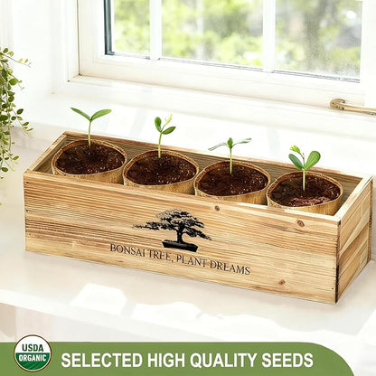 Bonsai Tree Starter Kit for Beginners - Indoor Live Plant Gardening Adult Craft DIY Kits - Unique Christmas, Birthday, White Elephant Gifts for Women, Men & Kids