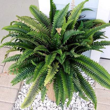 CQURE 48" Large Fake Fern Artificial Ferns for Outdoors,Set of 2 88 Fronds Realistic Artificial Boston Ferns Bush Plant for Indoor Outdoor Garden Porch Decor (Lifelike,UV Resistant,No Maintenance)
