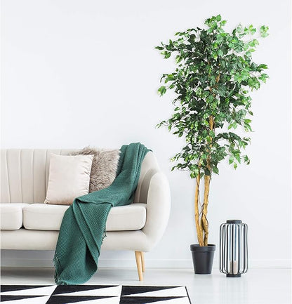 Nearly Natural 6ft Triple Trunk Artificial Ficus Tree with Natural Wood Trunks, Fake Tree for Indoor Home Décor, Faux Ficus Tree with Black Nursery Pot