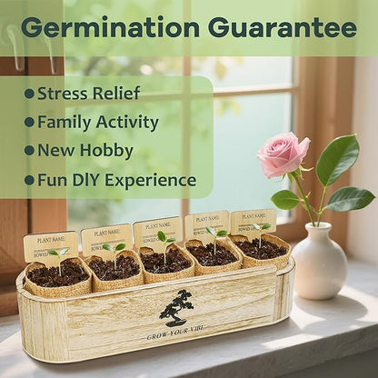 Bonsai Tree Kit for Beginners - Unique DIY Japanese Bonsai Trees, Crafts for Adults, for Women & Men,Complete Indoor Plant Kit