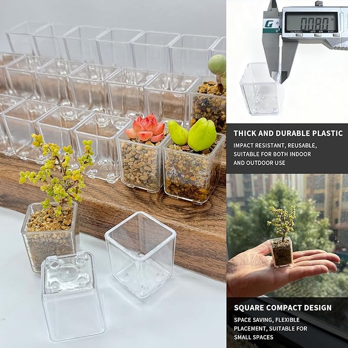 24 pcs Mini Clear Plastic Planter with Box, 2.8cm/1.1in with Drainage Hole & Bottom Support. Mini Succulent Nursery Pots for Roots Viewing, Home Potting, DIY, Office/Window Sill Decor