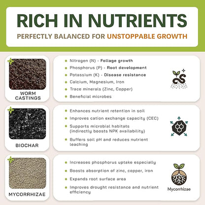 Premium AROID Soil Blend for Monstera, Philodendron, Alocasia, Anthurium – Chunky, Optimally Aerated Soil – Organic & Ready to Use – Supercharges Root and Foliage Growth - (2QTS)