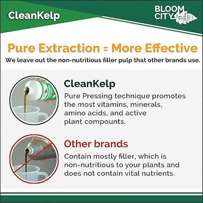 Bloom City Organic Liquid Seaweed and Kelp Fertilizer Supplement (128 oz) Concentrated Makes 750 Gallons