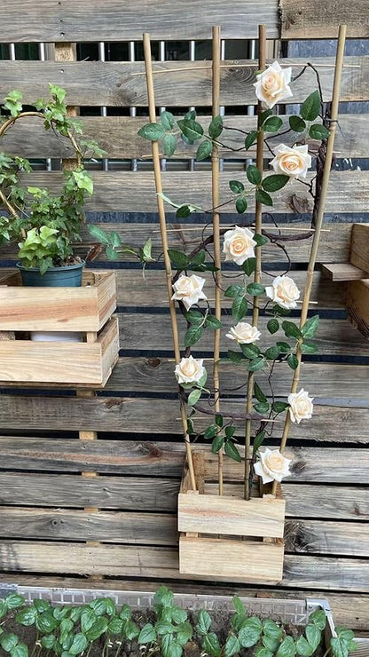 Natural Bamboo Trellis, 4Feet,6Pack,Fan-Shaped Plant Support Trellis for Outdoor and Indoor Potted Climbing Plants,Vegetables, Cucumber, Tomato, Hoya,
