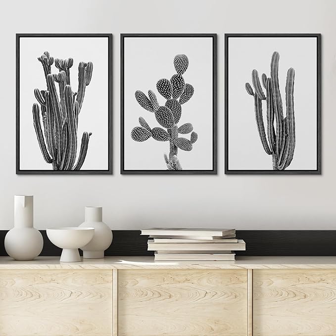 Ashbrook Framed Wall Art Print Set Black & White Southwest Desert Cactus Nature Floral Photography Modern Decorative Multicolor Relax/Calm for Living Room, Bedroom, Office - 24"x36"x3 Black