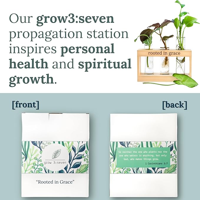 Rooted in Grace: Plant Propagation Stations: Plant Cutting Holder w/ 3 Glass Propagating Vases, Unique & Encouraging Christian Gifts for Women, Faith-Inspired Home Decor
