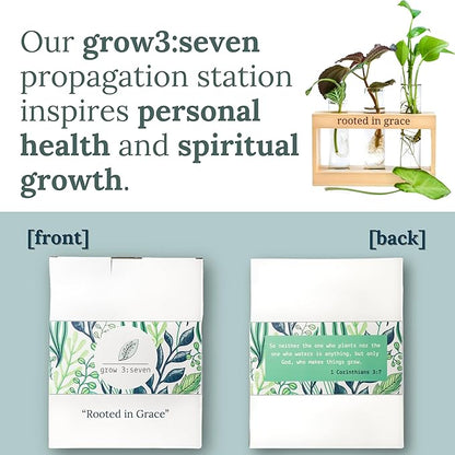 Rooted in Grace: Plant Propagation Stations: Plant Cutting Holder w/ 3 Glass Propagating Vases, Unique & Encouraging Christian Gifts for Women, Faith-Inspired Home Decor