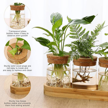 3Pcs Propagation Stations, Plant Terrarium with Lid and Wooden Stand,Desktop Glass Planter Hydroponics Vase,Home Office Living Room Decor Gifts