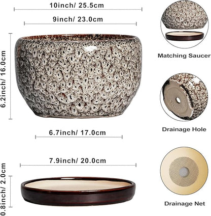 SQOWL Ceramic Plant Pots - 10 Inch Planter for Indoor Plants Outdoor, Large Flower Pots with Drainage Hole and Saucer, Decorative Round Planter, Apartment Decor, Garden Gifts for Women, White