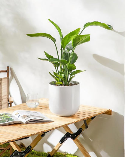 vancasso 8 Inch Ceramic Plant Pots, Planters with Drainage Hole, Flower Pots Planters Pots for Indoor Plants, Modern Indoor Decorative Garden Pot, Home Decor, White
